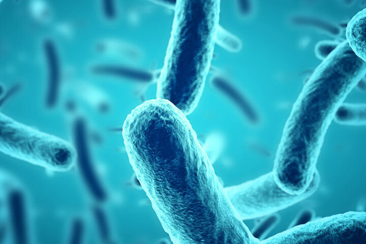Leyendas Heterodoxos Antiinfecciosos